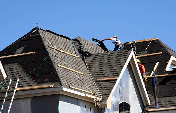Best Roof Gutter Cleaning  in Greenville, NC